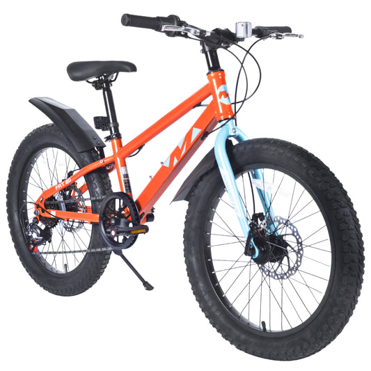 20 Inch Kids  Bicycles  ,  Fat Tire Mountain Bike for Boys and Girls Age 5 + Years ,Dual-Disc Brake,Shimano 7-Speed ,Kids Beach and Snow Bicycle