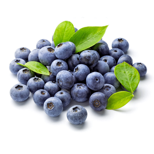 Giant Blueberry Fruit Seeds (20 Seeds a Pack)