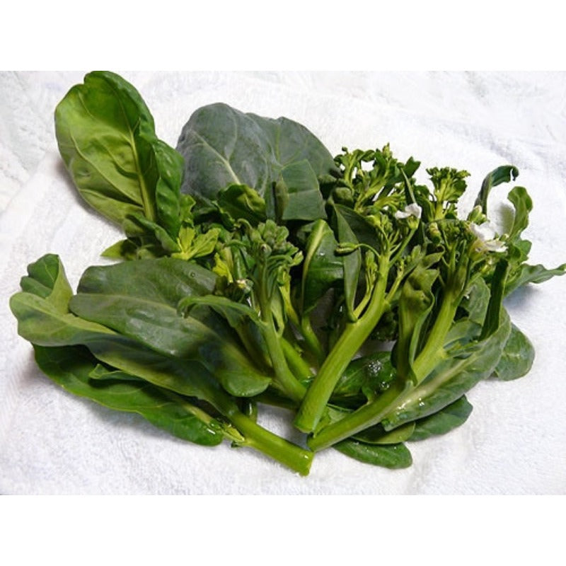 Broccoli Seeds (Organic) - Aspabroc F1