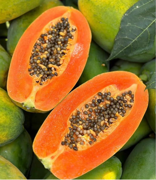 Red Heart Creamy Papaya Seeds