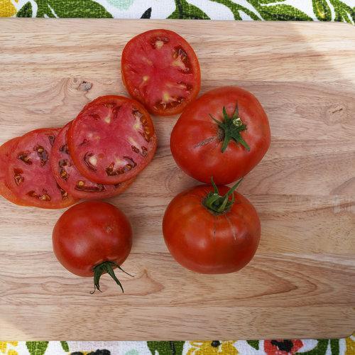 Pink Ponderosa Heirloom Tomato Seeds - Large Tomato - One of The Most Delicious Tomatoes for Home Growing, Non GMO - Neonicotinoid-Free.