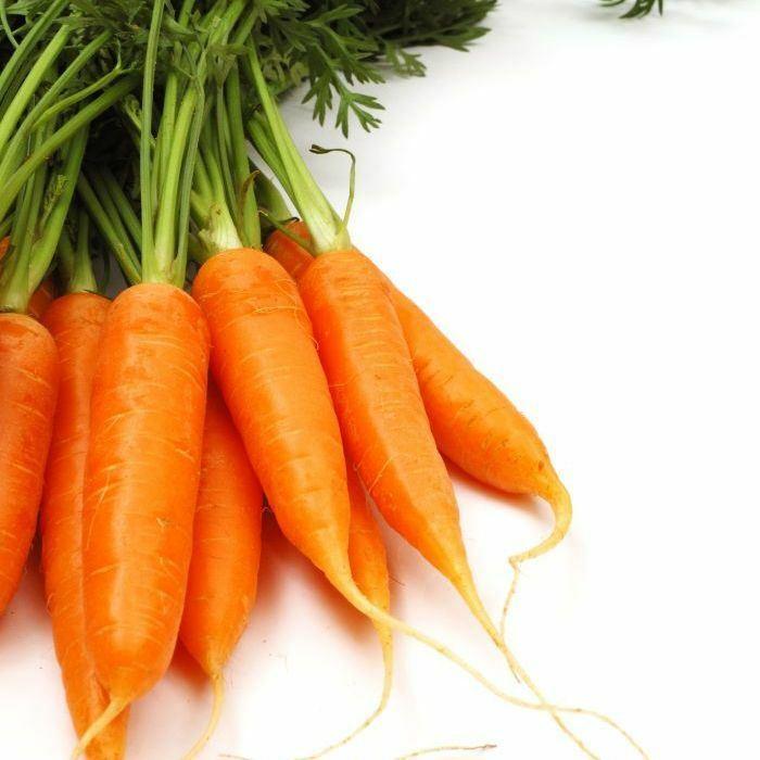 Carrot Seeds for Planting Indoor Outdoor