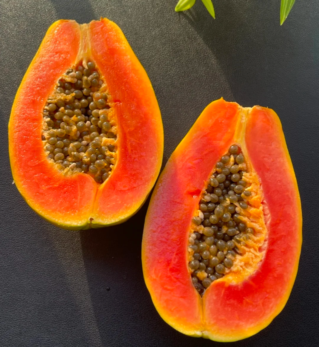 Red Heart Creamy Papaya Seeds