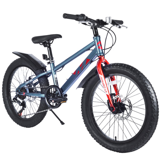 20 Inch Kids Bicycles , Fat Tire Mountain Bike for Boys and Girls Age 5 + Years ,Dual-Disc Brake,Shimano 7-Speed ,Kids Beach and Snow Bicycle