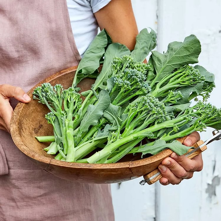 Broccoli Seeds (Organic) - Aspabroc F1