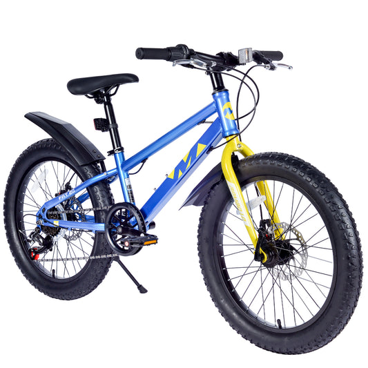 20 Inch Kids Bicycles , Fat Tire Mountain Bike for Boys and Girls Age 5 + Years ,Dual-Disc Brake,Shimano 7-Speed ,Kids Beach and Snow Bicycle