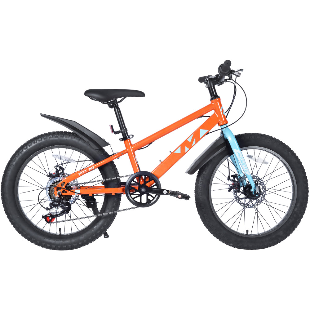 20 Inch Kids  Bicycles  ,  Fat Tire Mountain Bike for Boys and Girls Age 5 + Years ,Dual-Disc Brake,Shimano 7-Speed ,Kids Beach and Snow Bicycle