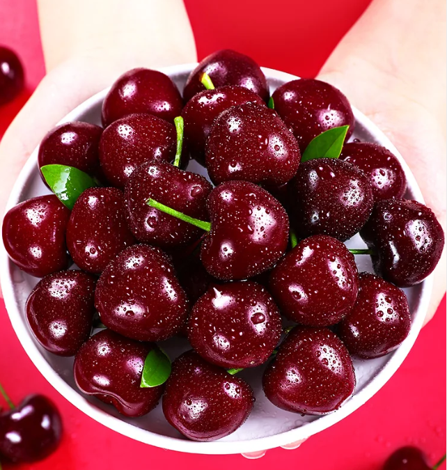 Cherry Plant Seeds for Platning Sweet Cherry Tree Plant Seeds, Large Yellow Black Red Mix Cherry Plant Fruit Tree Seed