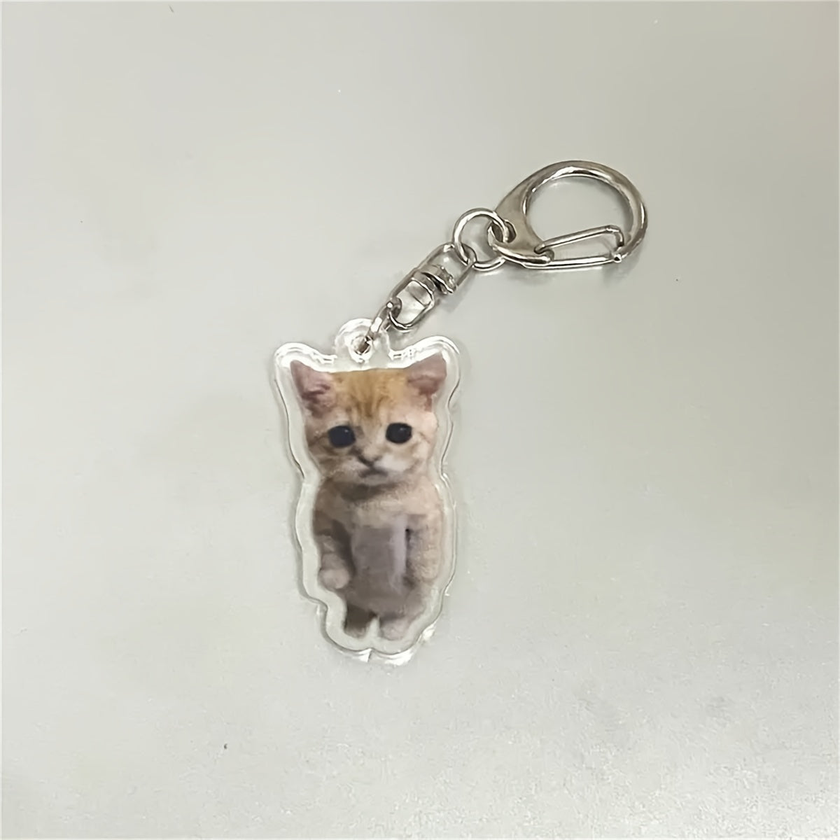 Poor Cat Keychain - Creative Keyring for Backpacks & Bags, Charming Pendant Charms, Ideal Birthday Gifts & Party Favors